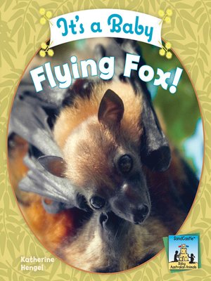 cover image of It's a Baby Flying Fox!